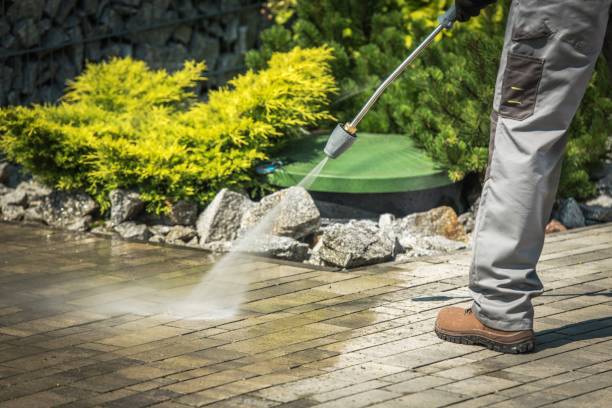 Best Animal Enclosure Cleaning  in Brushy Creek, TX