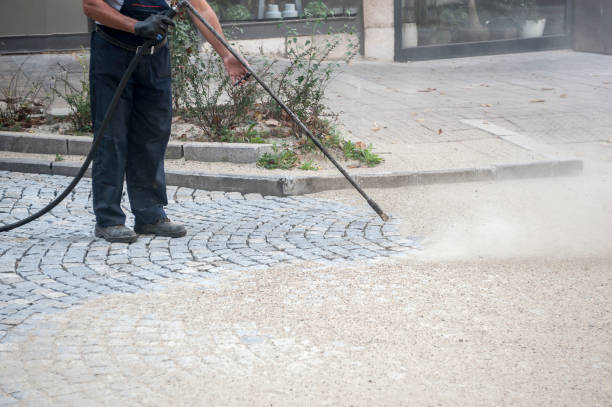 Best Roof Washing  in Brushy Creek, TX