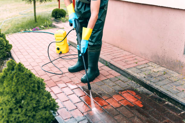 Best Driveway Pressure Washing  in Brushy Creek, TX